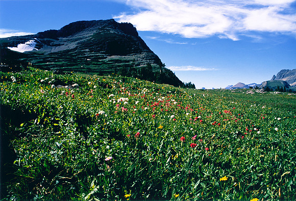 Glacier National Park Logan's Pass