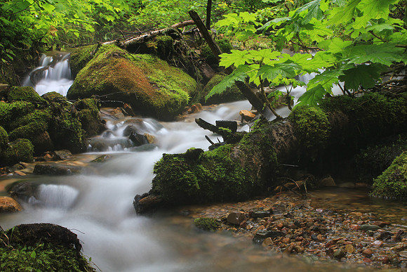 Montana Mystical Water