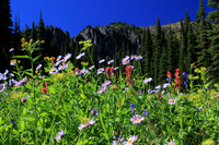 Northwest Montana Bluebird Basin