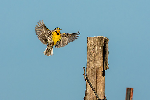 About To Land