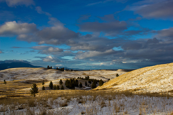 Montana Big Sky