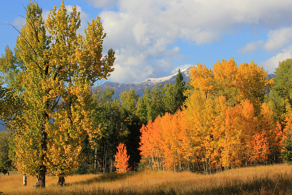 Northwest Montana Fall Sky