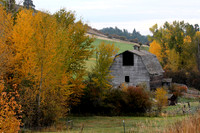 The Old Barn