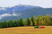 Harvest Time