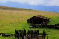 Tranquillity at the Barn