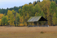 The Empty Hay Shed