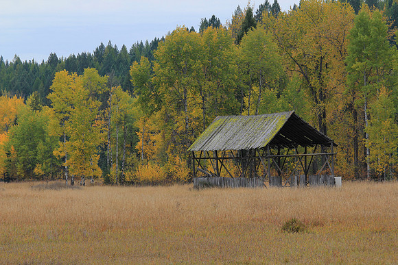 The Empty Hay Shed