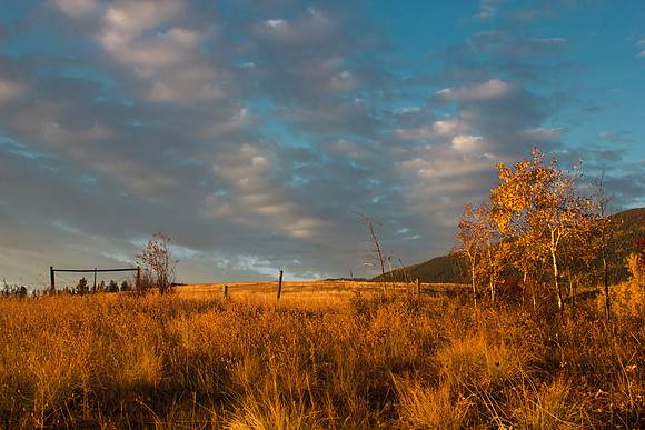 Montana Fall Sky